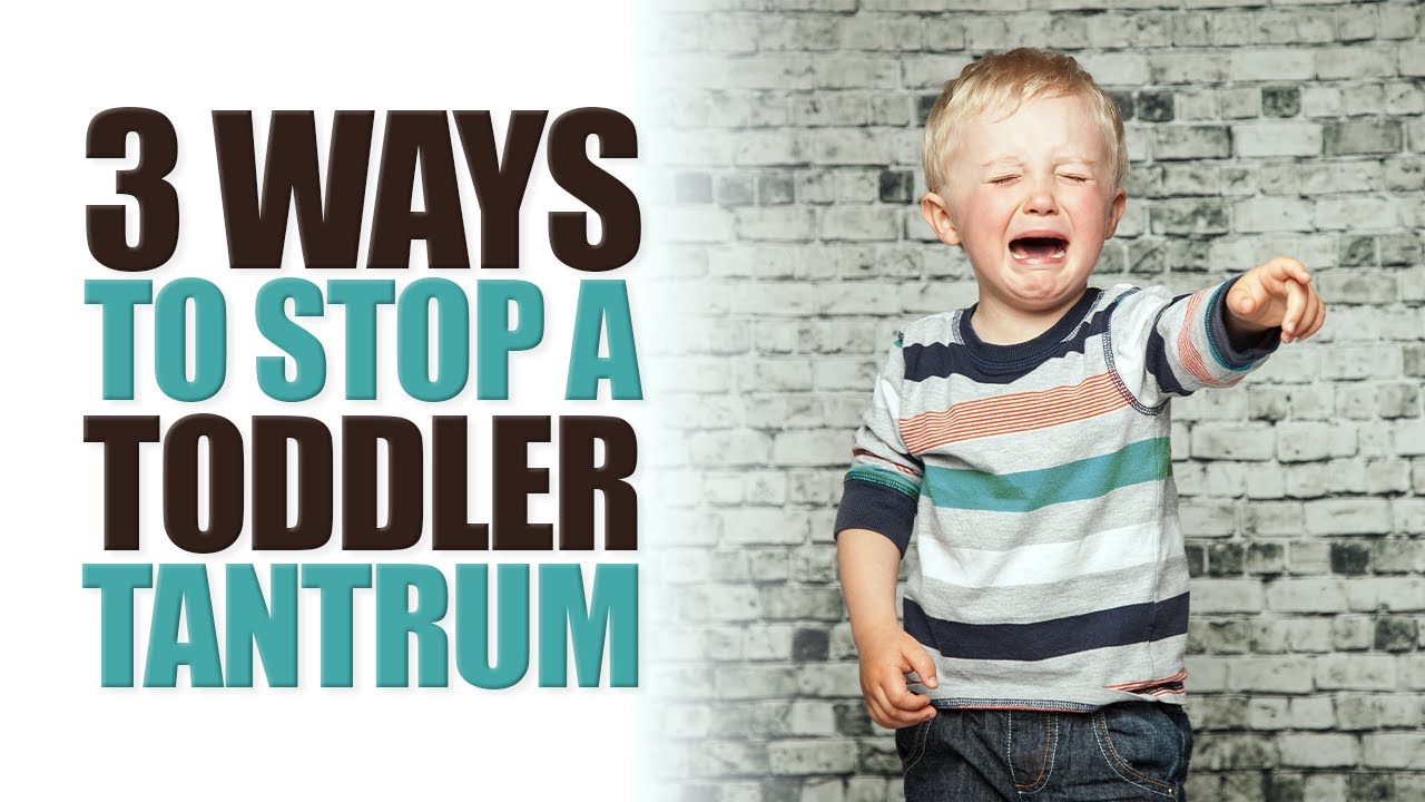3 Ways to Stop a Toddler Tantrum The Sleep Sense Program by Dana Obleman